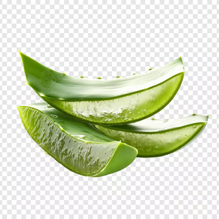 Aloe Vera Extract