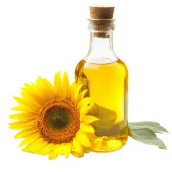 Sunflower & Olive Oils